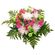 Alice. This tender and touching bouquet of chrysanthemums and carnations will be a great reminder about warm days you&#39;ve spent together. . Malaysia