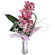 Queen of beauty. This magnificent arrangement with exquisite orchid will congratulate better than any words...