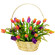 Spring rainbow. Classic spirng flower arrangement of mixed color tulips in a basket.